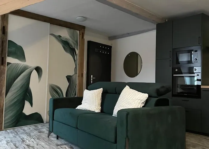Le Cosy Green - Centre-Ville