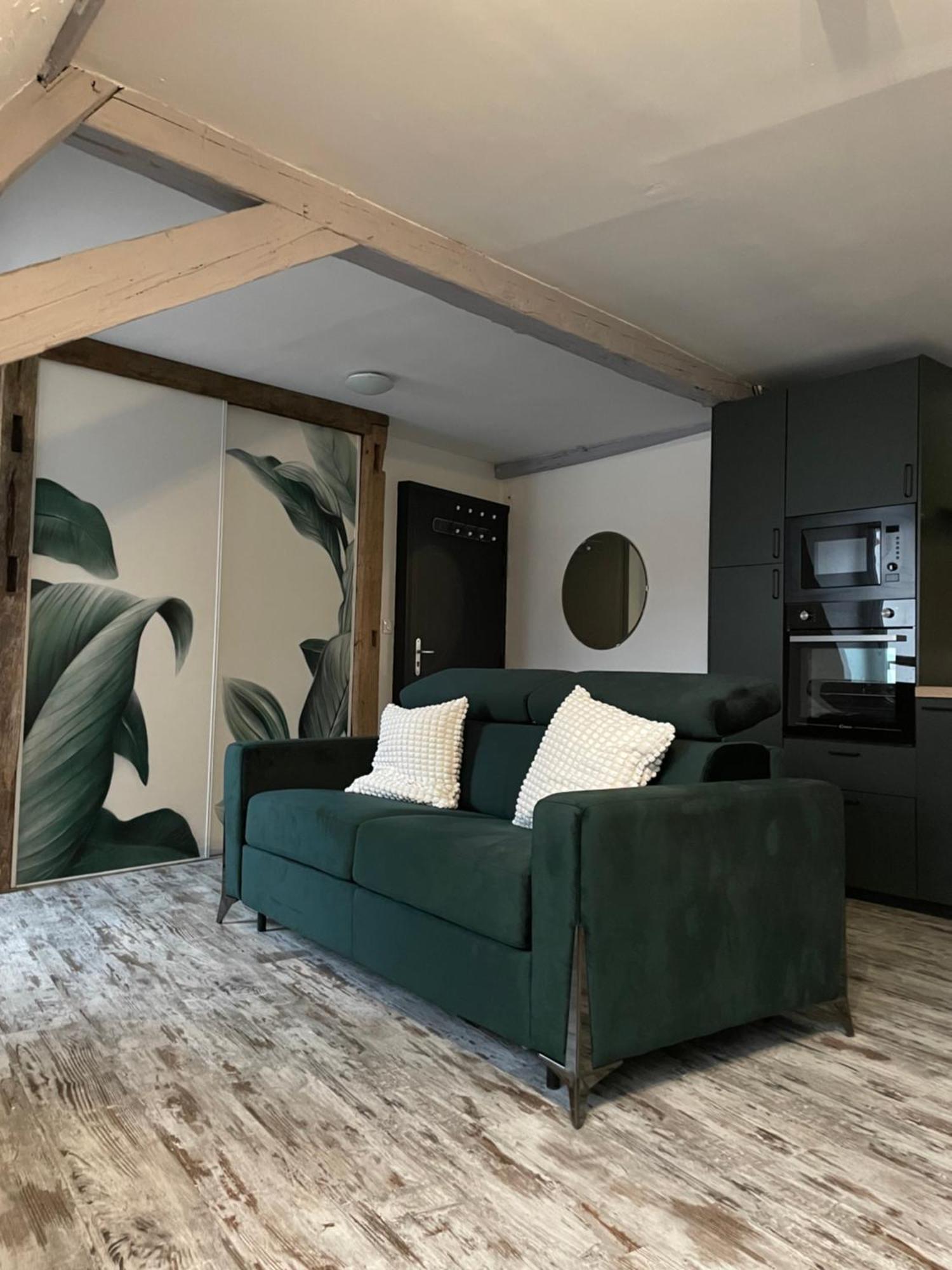 Appartement Le Cosy - Centre-ville Sélestat