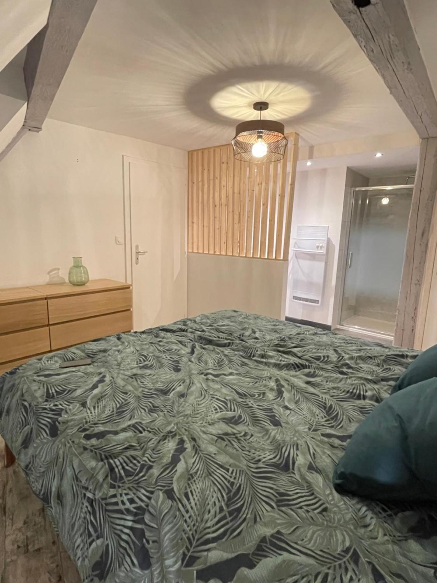 Appartement Le Cosy - Centre-ville Sélestat